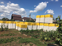 Газобетон КОТТЕДЖ D400 В2.0 600х400х250